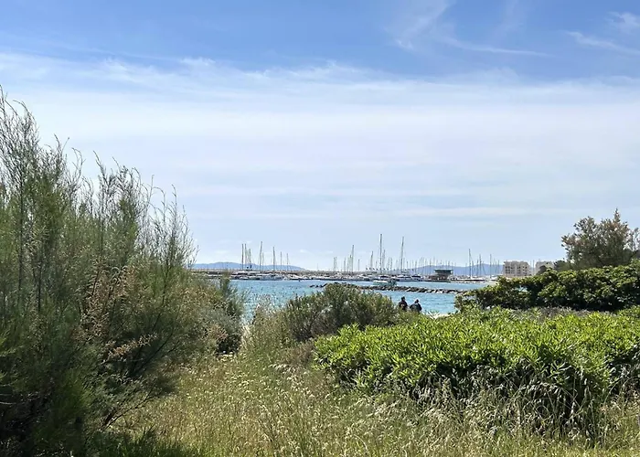 3 Pieces 4 Couchages Avec Parking Au Lavandou - Fr-1-251-316 Lägenhet